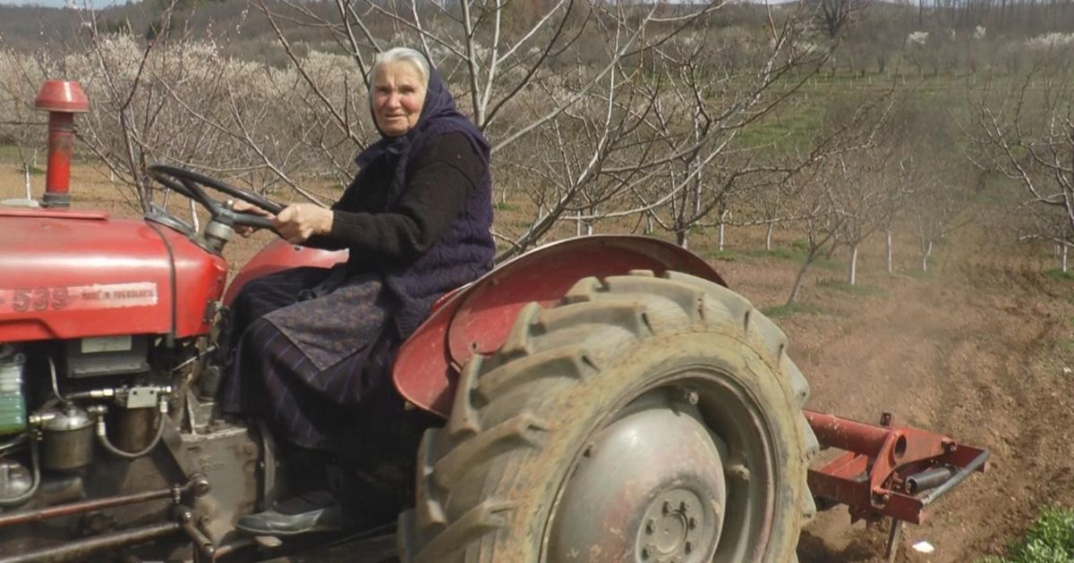 Pavlika (85) has been driving for 50 years: 'When neighbors need something, I immediately start the tractor because drivers are supportive'