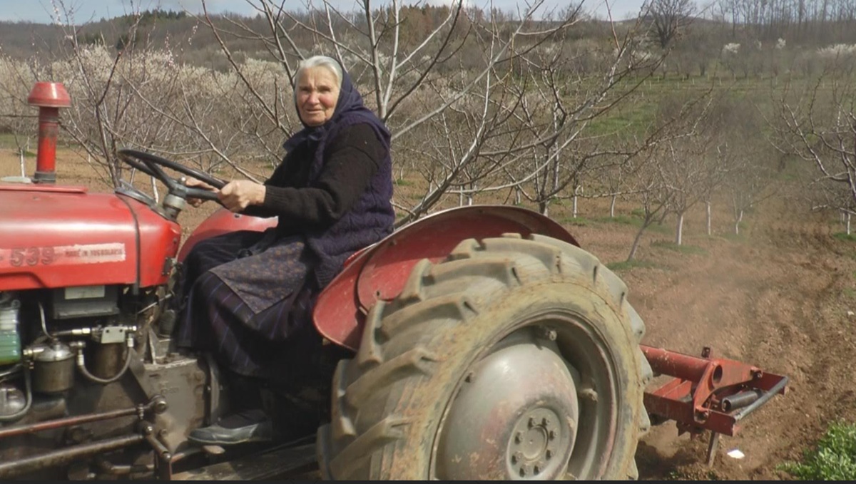 Pavlika (85) šoferira već 50 godina: "Kad komšijama treba nešto, odmah palim traktor jer šoferi su solidarni"