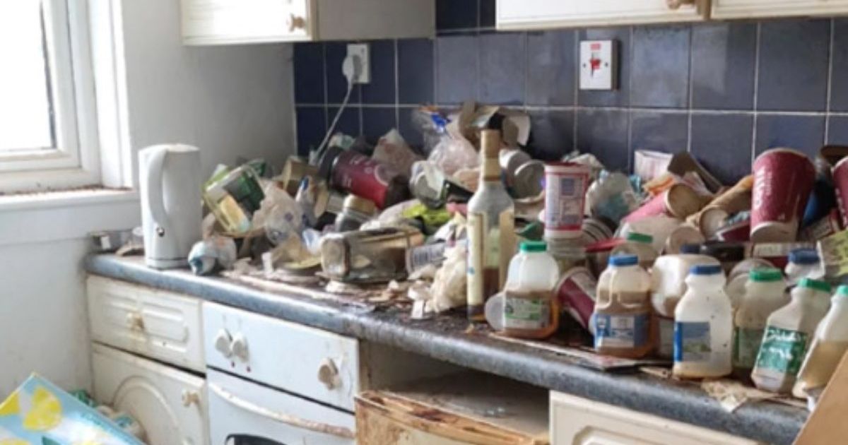 HOUSE DESTROYED FOR 2 MILLION DOLLARS Tenants showed what they did: "This is a horror movie!"
