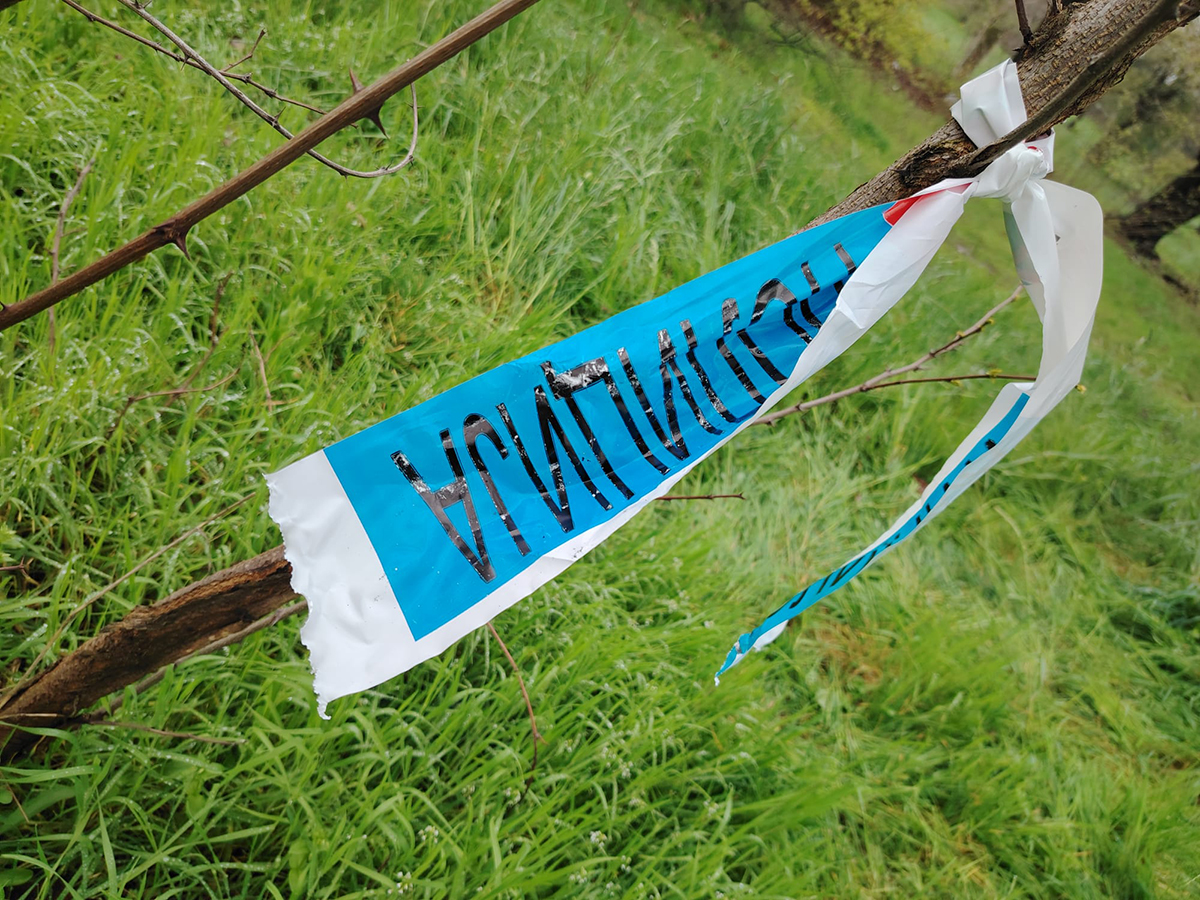 MORNING AFTER BLOODY RAMPAGE: Police tape, traces of horror in central Belgrade!