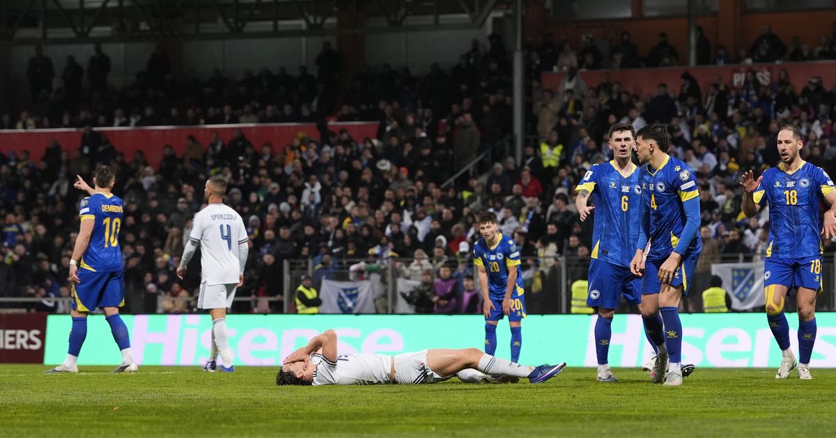 Evo koliko je novca zaradila Bosna i Hercegovina posle plasmana na Svetsko prvenstvo: Milioni stižu u komšiluk