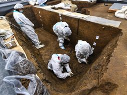 Sanxingdui, artefakti