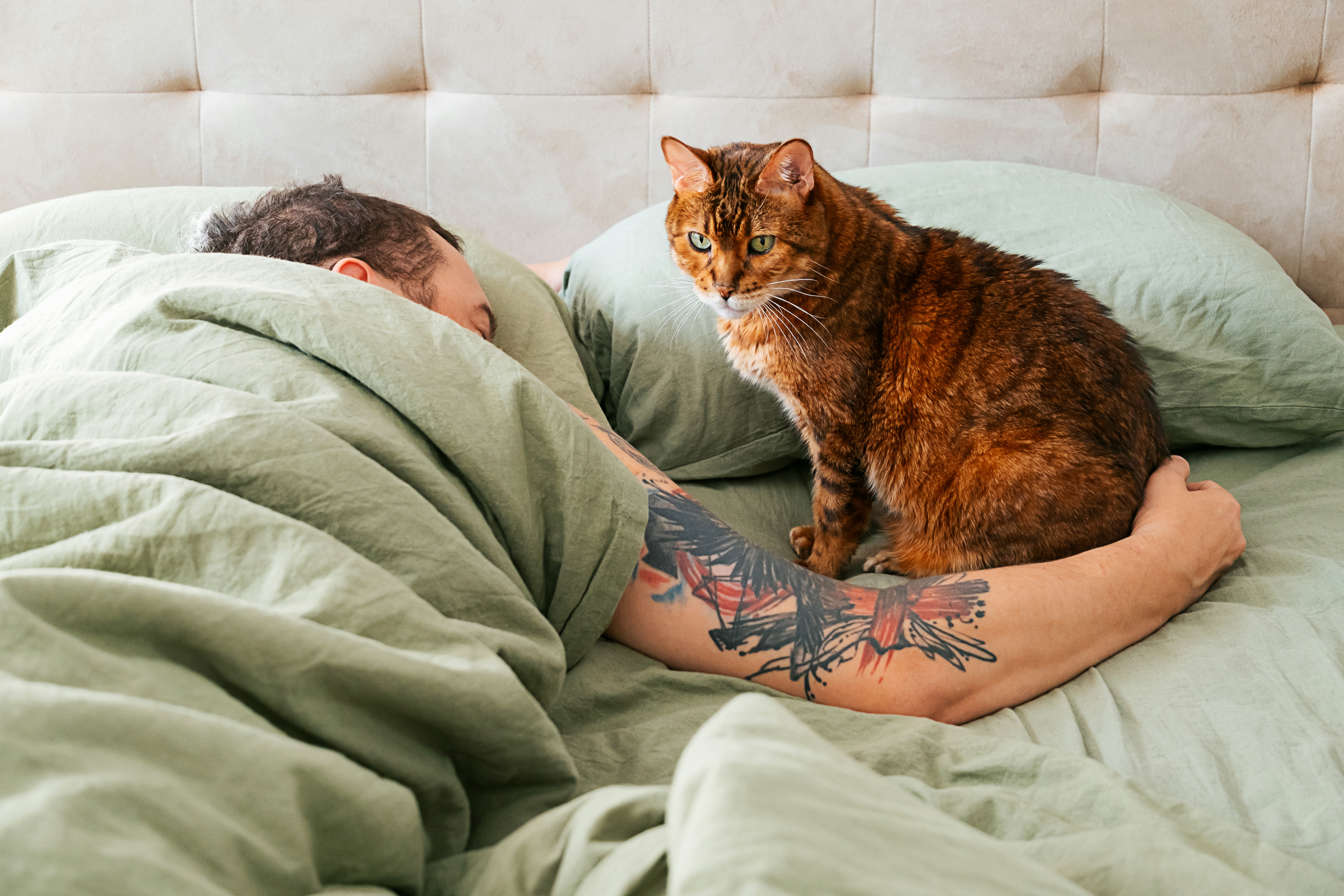 Da li ste srećniji ili umorniji kada spavate pored svog ljubimca: Istraživanja otkrila neočekivane rezultate