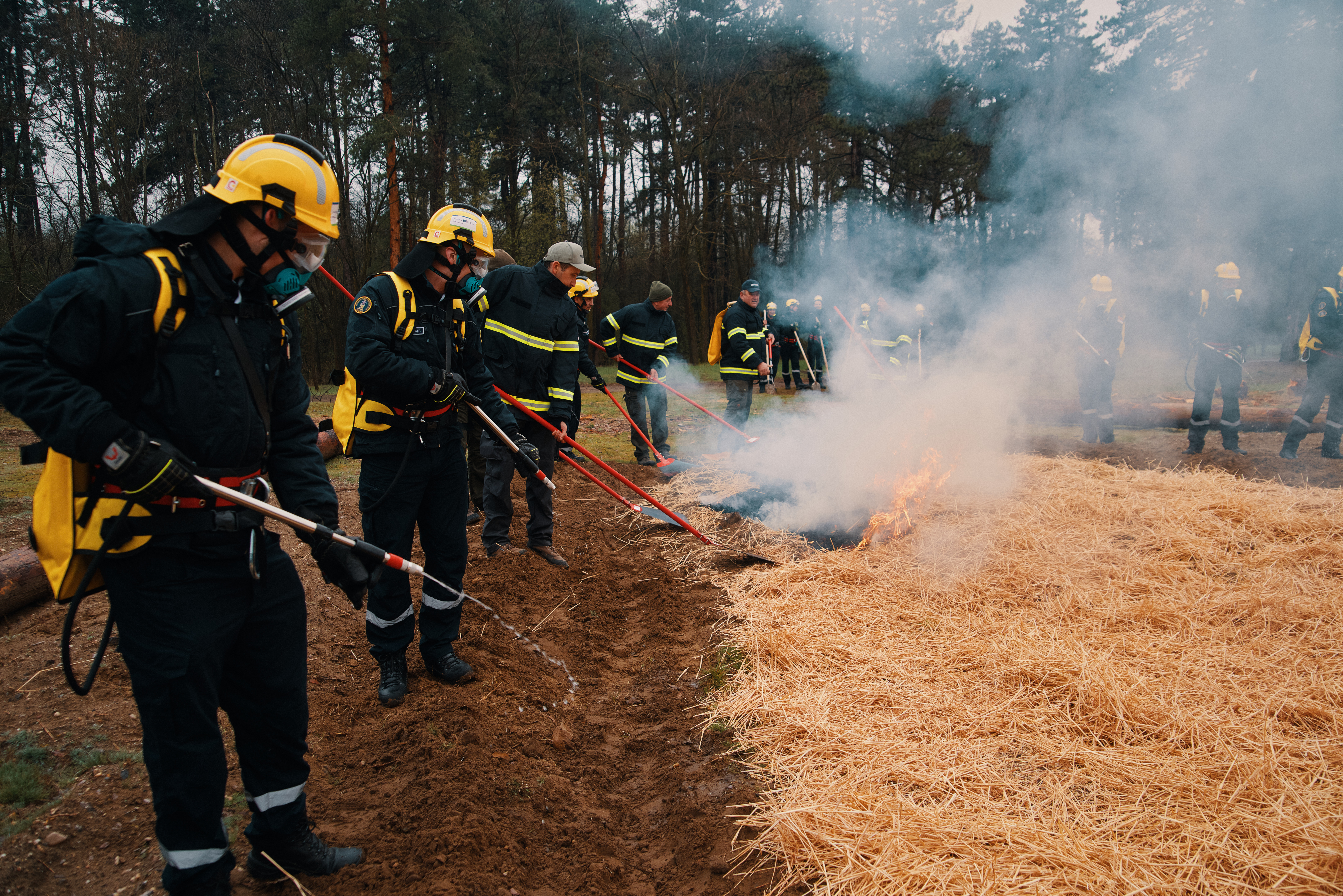 Sjajna saradnja mladih iz Srbije i Rumunije: Uspešna vežba u Deliblatskoj peščari