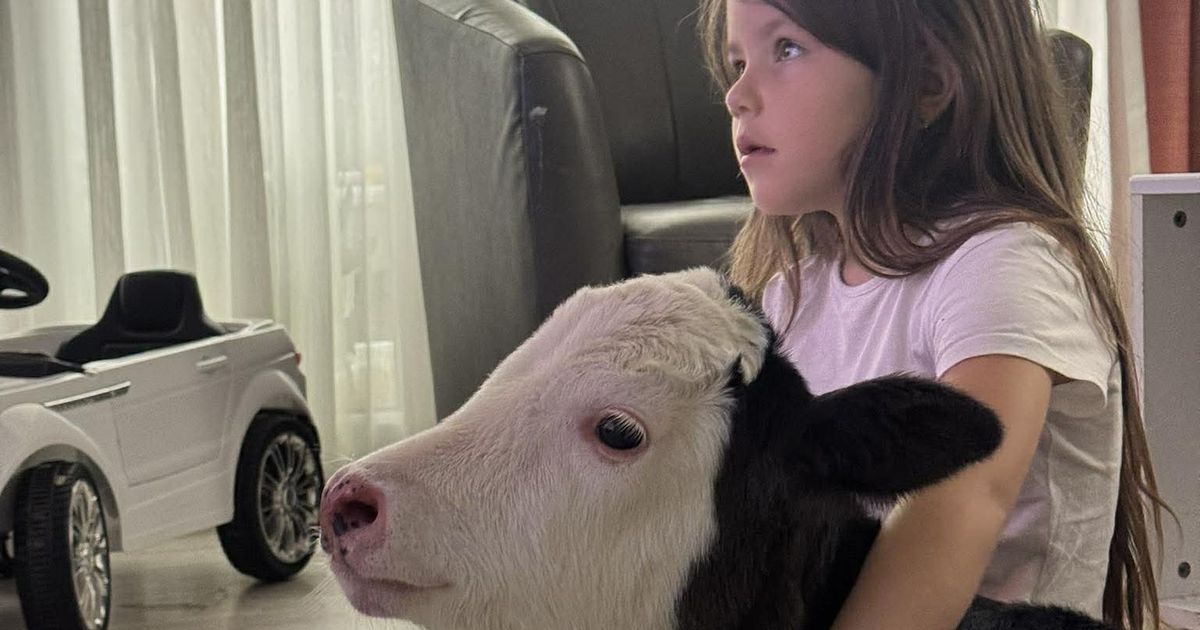 Ljubimcu dece, telencetu Flekici, nije bilo dobro pa je moralo kod doktora: Tamara Garović zabrinula pratioce