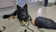 Pogledajte s čim je Srbin pokušao da uđe u Hrvatsku! Carinici u šoku, pas spasio stvar