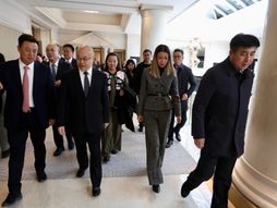 Adrijana Mesarović, saradnja, Hebej