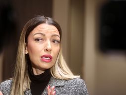 Adrijana Mesarović, saradnja, Hebej