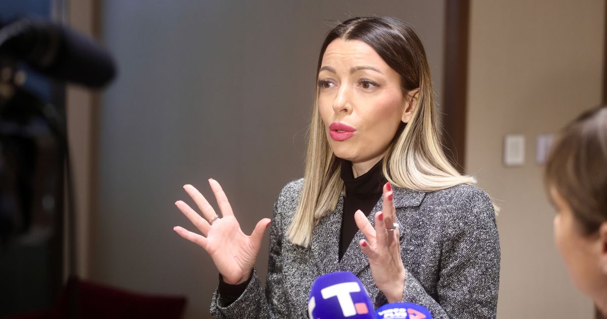 Adrijana Mesarović o sastancima sa ambasadorima: Konstruktivni razgovori o vozačima u EU
