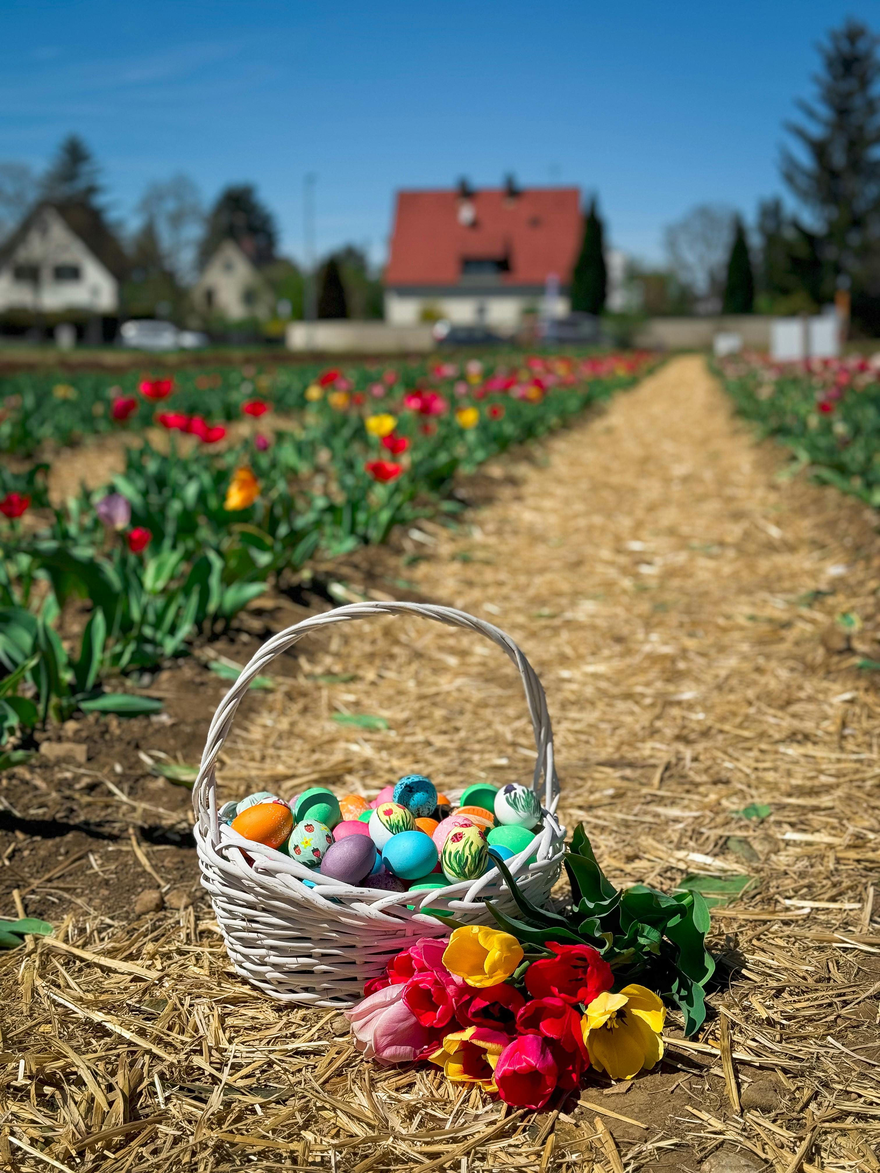 Šta zaista treba da se nađe u uskršnjoj korpi: Sveštenici upozoravaju na greške koje mnogi prave za Uskrs