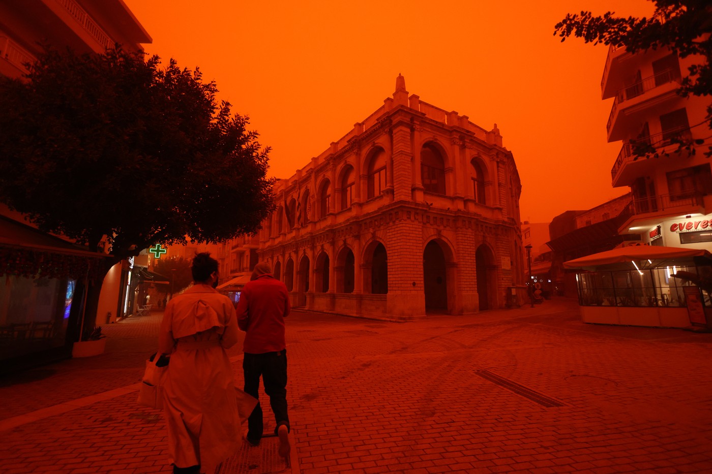 Sablasni prizori sa Krita: "Gost" iz Afrike napravio scene kao u horor filmu!