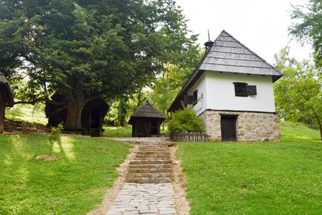 Tršić, selo Tršić