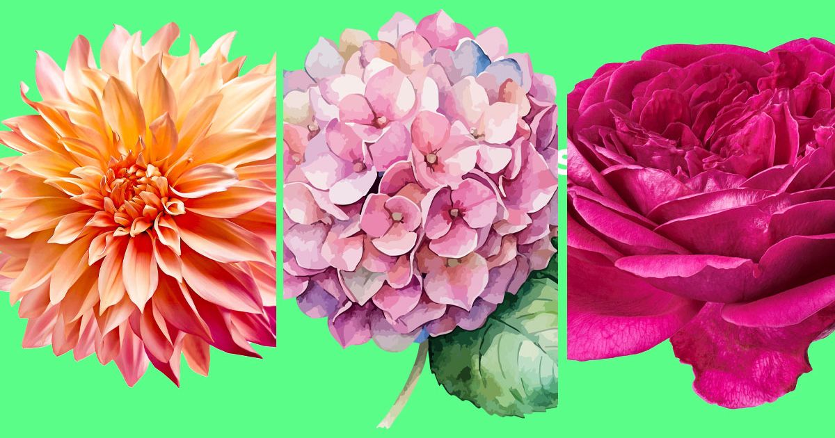 Test ličnosti: Cvet koji vas privuče otkriva šta drugi tajno najviše vole kod vas