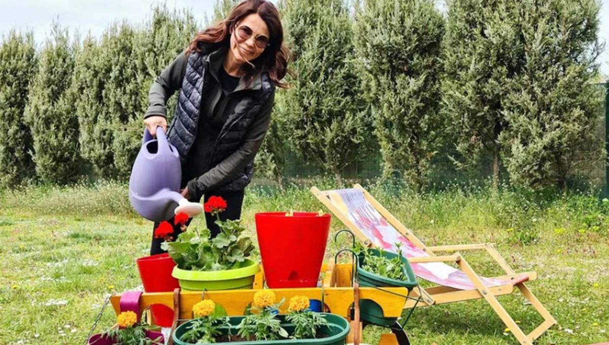 Pronašla mir u raju na obroncima Fruške gore: Naša voditeljka pokazala imanje u prirodi "Još je otplaćujem..."