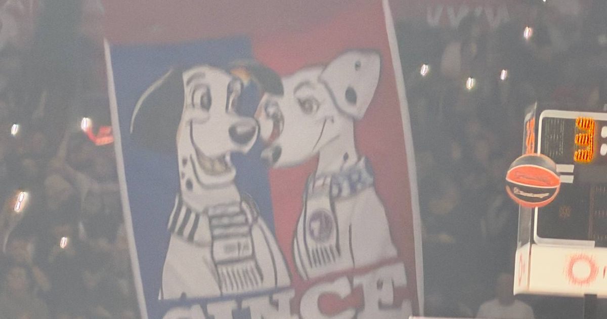 Delije razvile zastavu sa Dalmatincima, pa uz Rođinu pesmu prozvale Grobare zbog Torcide Split