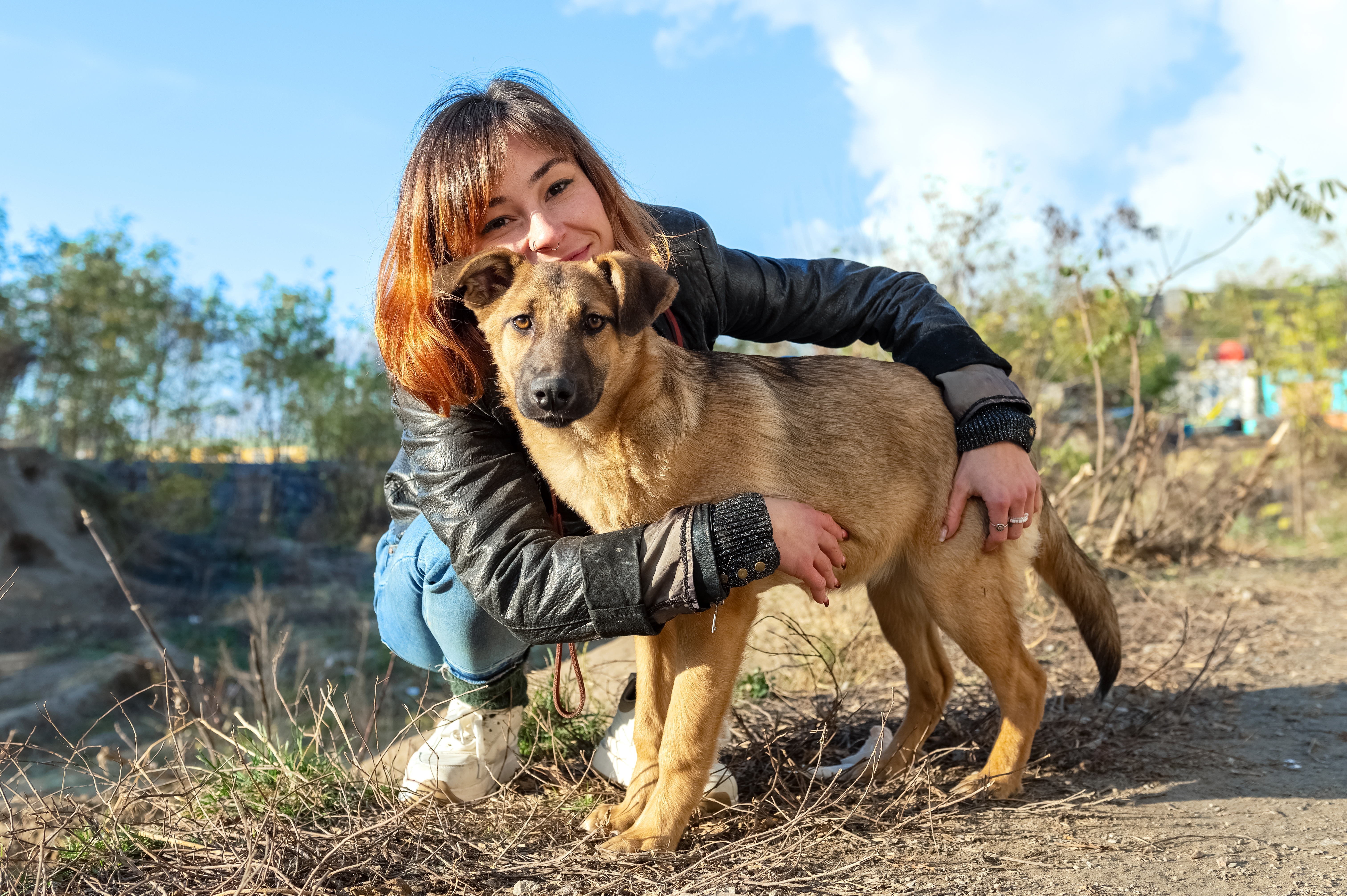 Prvi dani sa PSOM IZ AZILA: Koji su NORMALNI problemi prilagođavanja u domu, a koji ukazuju da mu treba POMOĆ