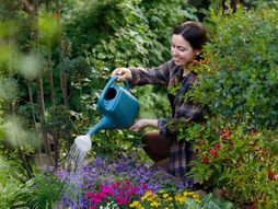 Žena cvece zalivanje cveca dvoriste vrt