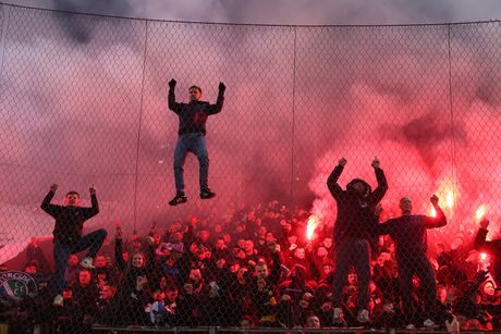 Fudbalska reprezentacija Bosne i Hercegovine (BiH)
