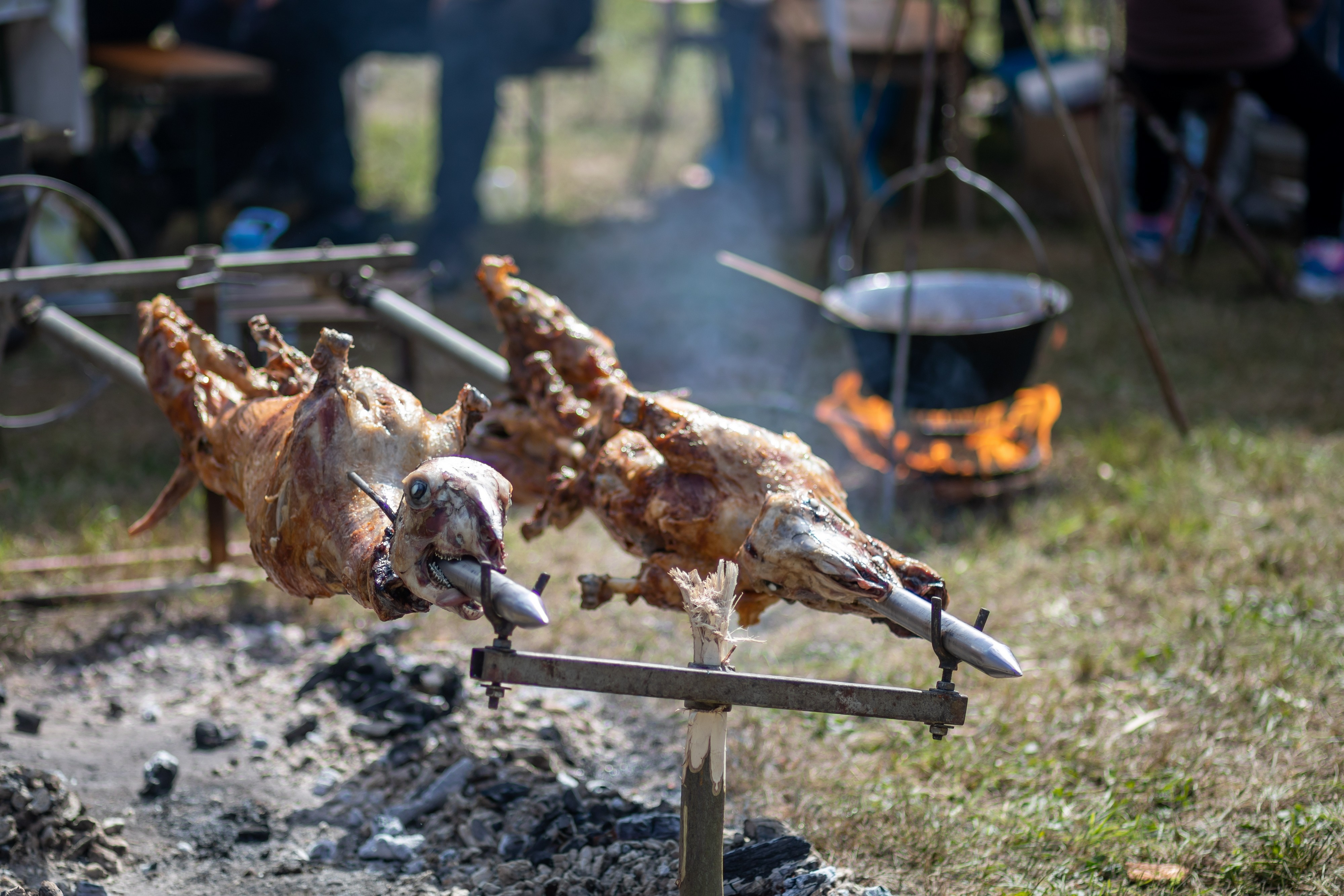 Koliko košta pečenje u Srbiji? Uoči Vaskrsa jagnjetina čak pojeftinila