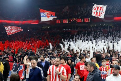 Navijači Crvene zvezde, Delije