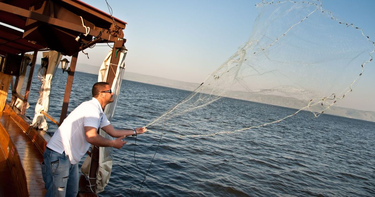 Nemilosrdni predator hara Jadranskim morem: Proždire ribe koje ljudi obožavaju!