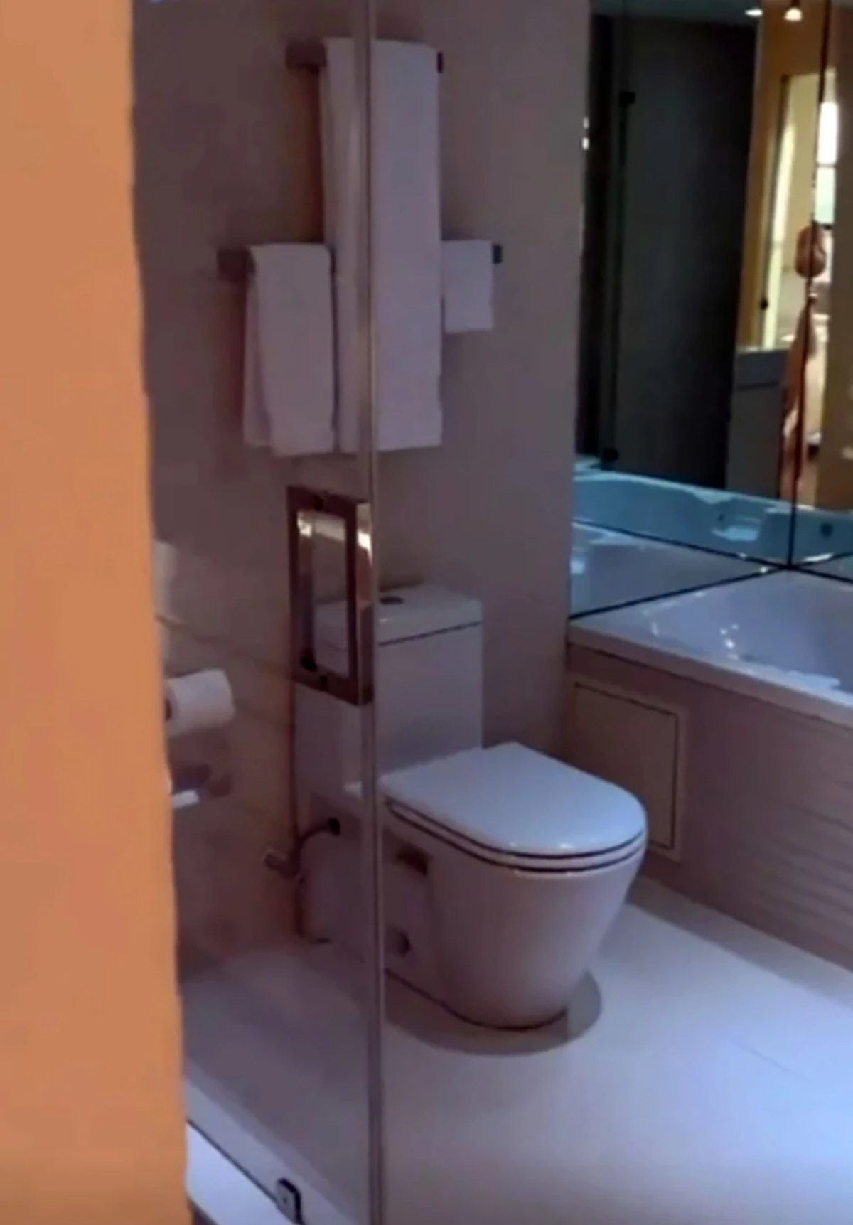 Ovako izgleda luksuzni stan Stanije Dobrojević u Majamiju: Apartman u staklu s pogledom na plažu i palme