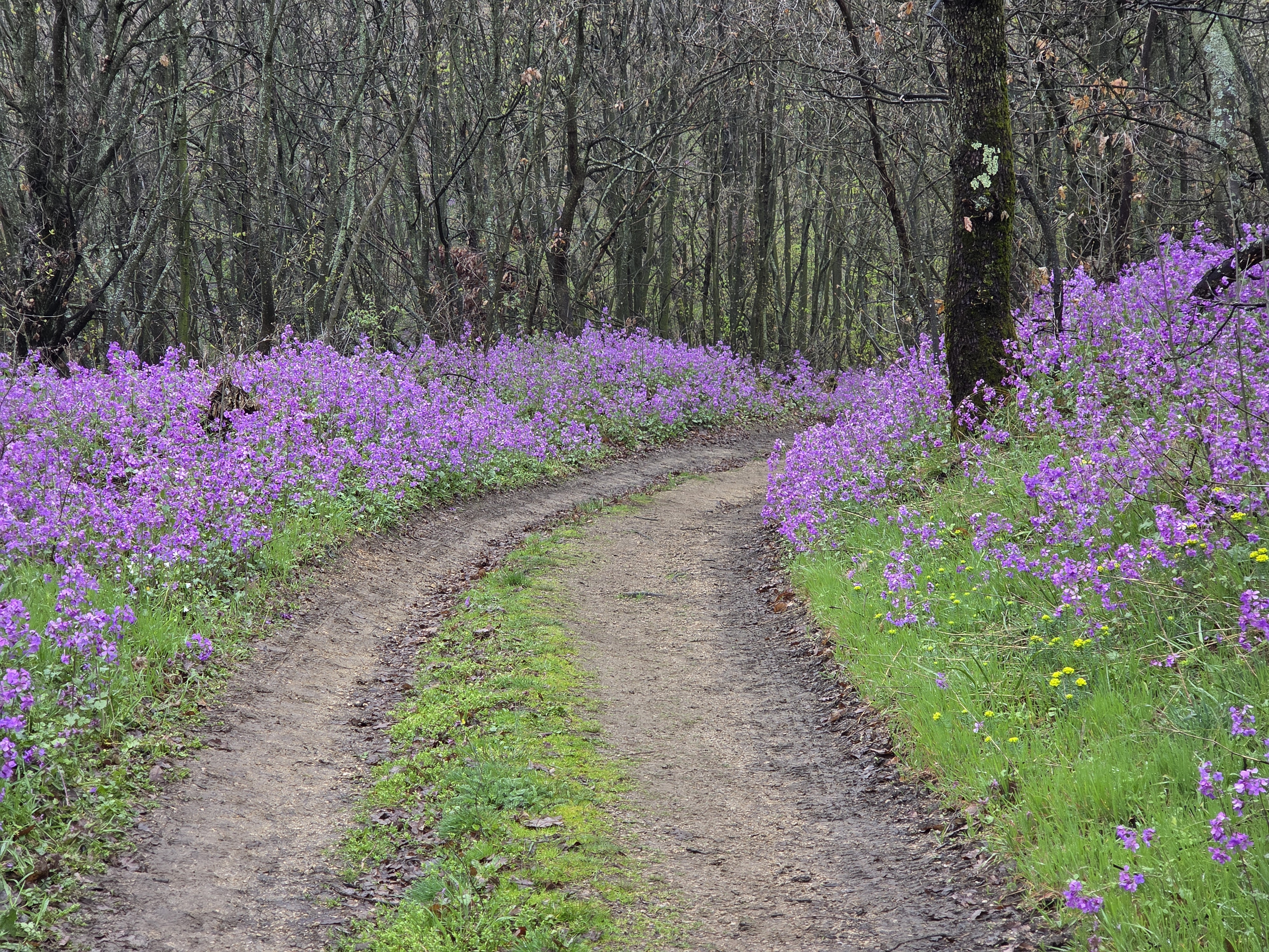 Trka na Vršačkom Bregu otkriva magične staze kroz čudo prirode severne Srbije: Mesto idealno za prolećni odmor