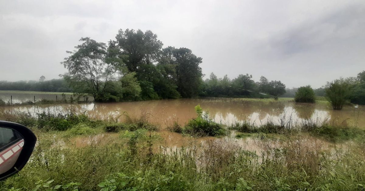 Vanredno i u Čačku! Povišen vodostaj reka već pravi haos: Situacija se prati iz minuta u minut