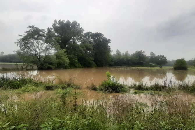 Reka Žutaja se izlila u selu Katrga