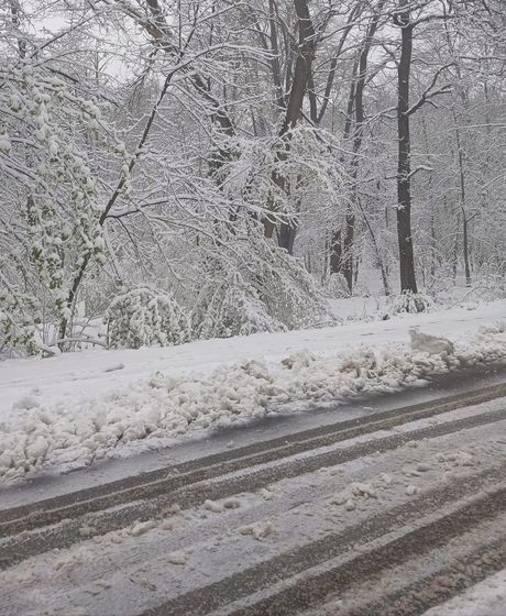 Beograd sneg, vremenska prognoza