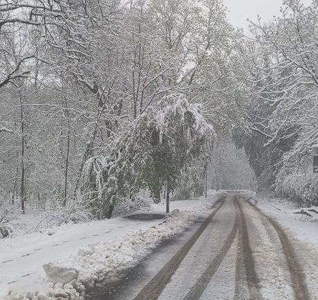 Beograd sneg, vremenska prognoza