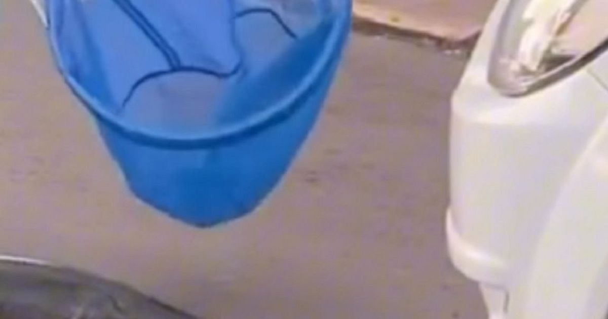 Nesvakidašnja scena: Ogromna riba napravila pometnju na ulicama, zaustavljen saobraćaj