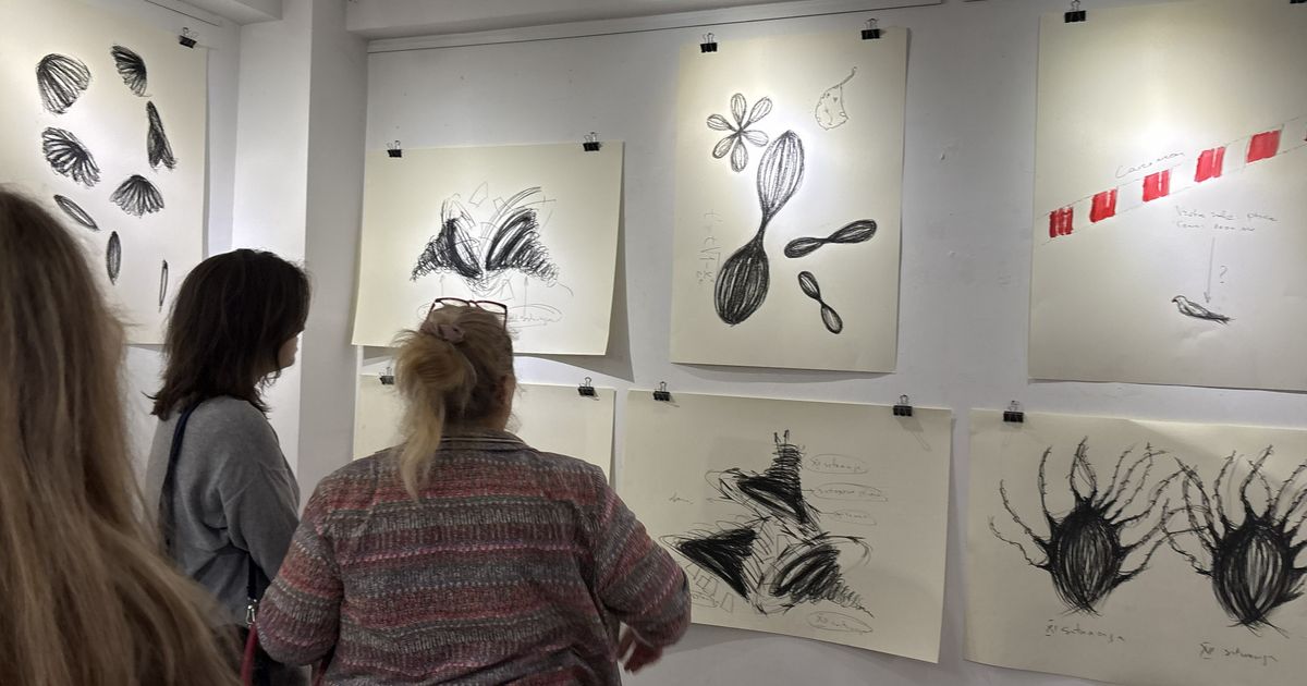 Otvorena izložba „Vremeplov” Tatjane Ilić u Galeriji Fakulteta savremenih umetnosti