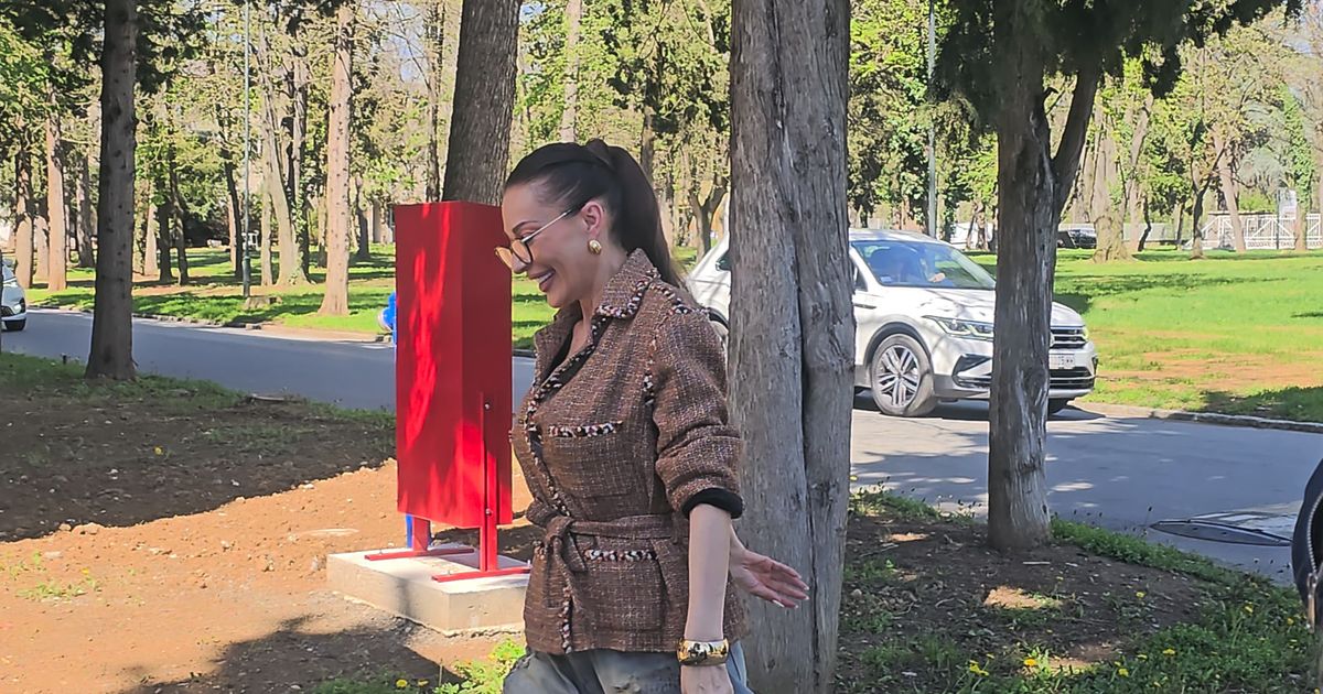 Ceca stigla u nesvakidašnjem stajlingu: Na ruci 