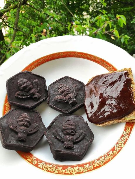 Nikola Gavrilović, sveće, pčelar