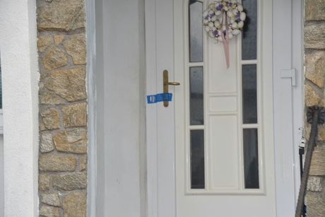 Ubistvo Srpkinje u Austriji