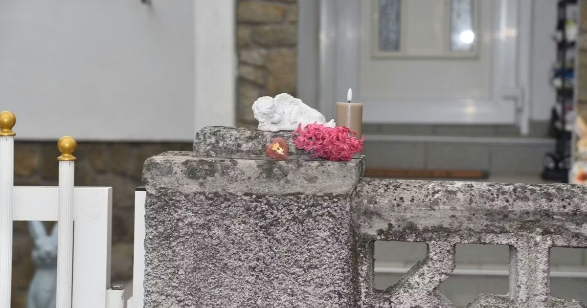 Komšije u šoku nakon ubistva Srpkinje u Austriji: 