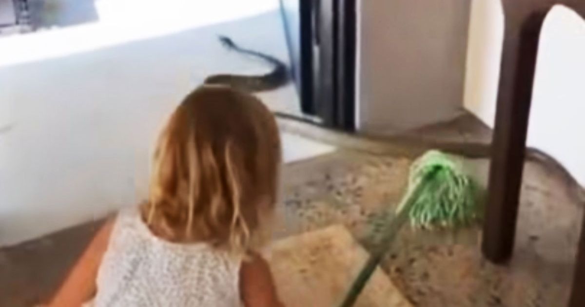 Girl Kicks MONSTER Out of the House, Parents' Reaction Astonished Many: 'When Dad Teaches You...'