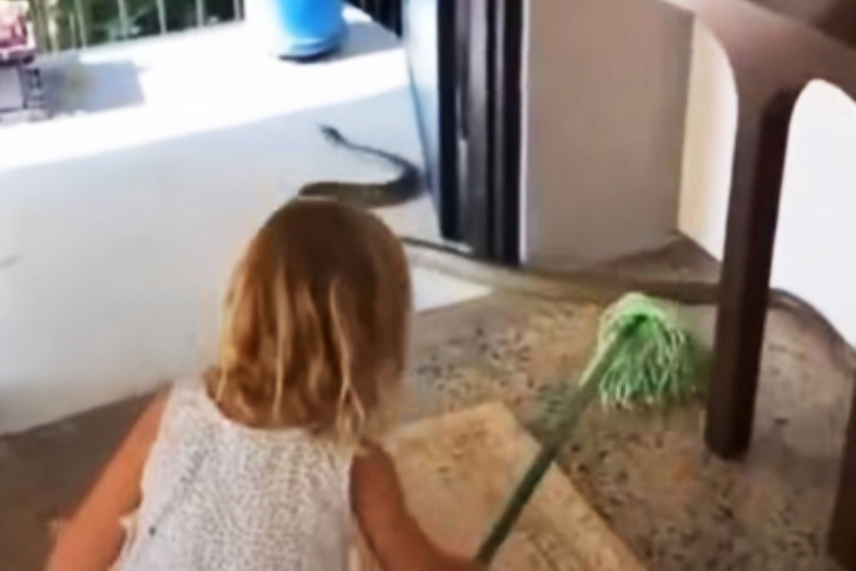 Devojčica izbacuje MONSTRUMA iz kuće, reakcija roditelja mnoge zaprepastila: "Kad te tata nauči..."