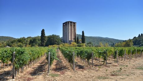 Hilandar, Sveta Gora