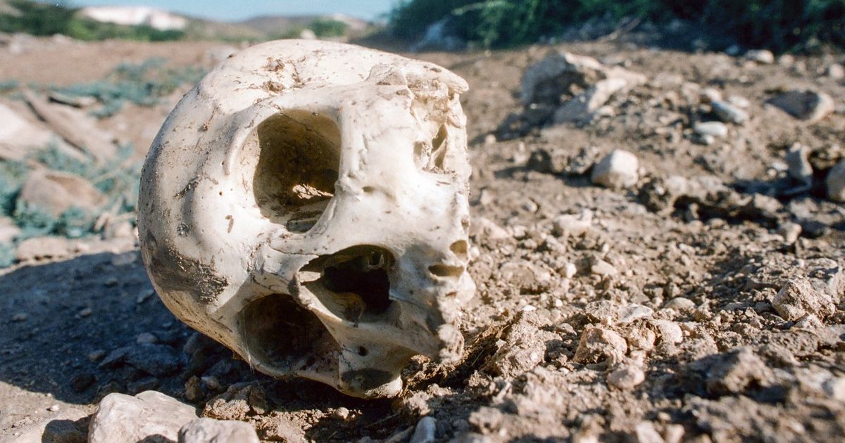 HOROR U PARKU Tragali za uskršnjim jajima, pronašli ljudsku lobanju!