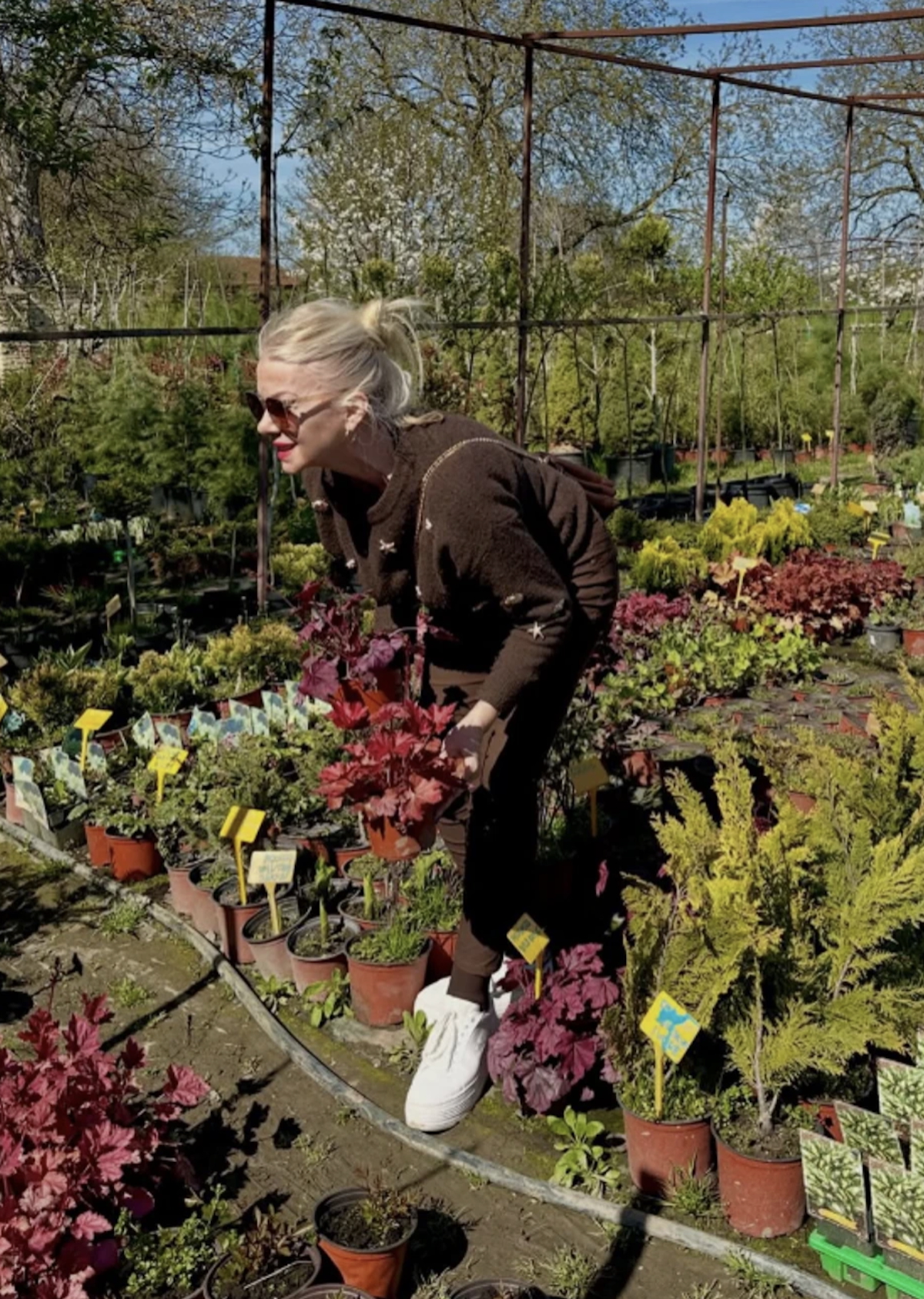 Memedovićeva bivša žena okopava u rasadniku: Sama sređuje svoje imanje nadomak Beogada, evo kako izgleda