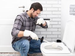 WC šolja, šolja, toalet, toaletna šolja, smrad