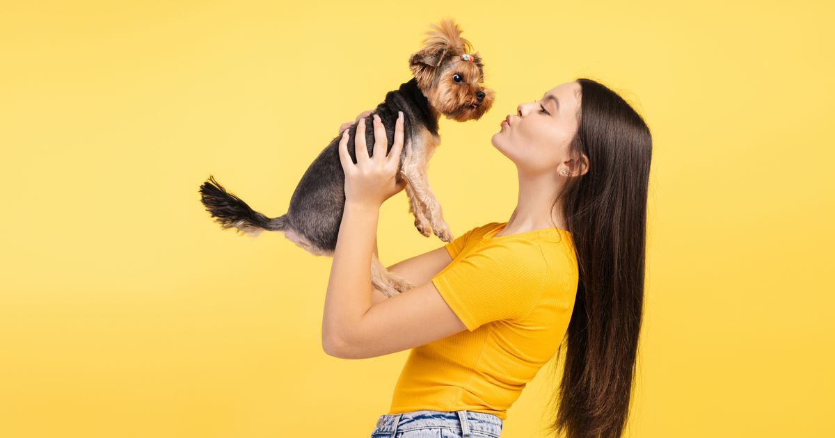 Poziv za vlasnike pasa: Ako ispunjavate ove uslove, dobijate od 50 do 75 evra