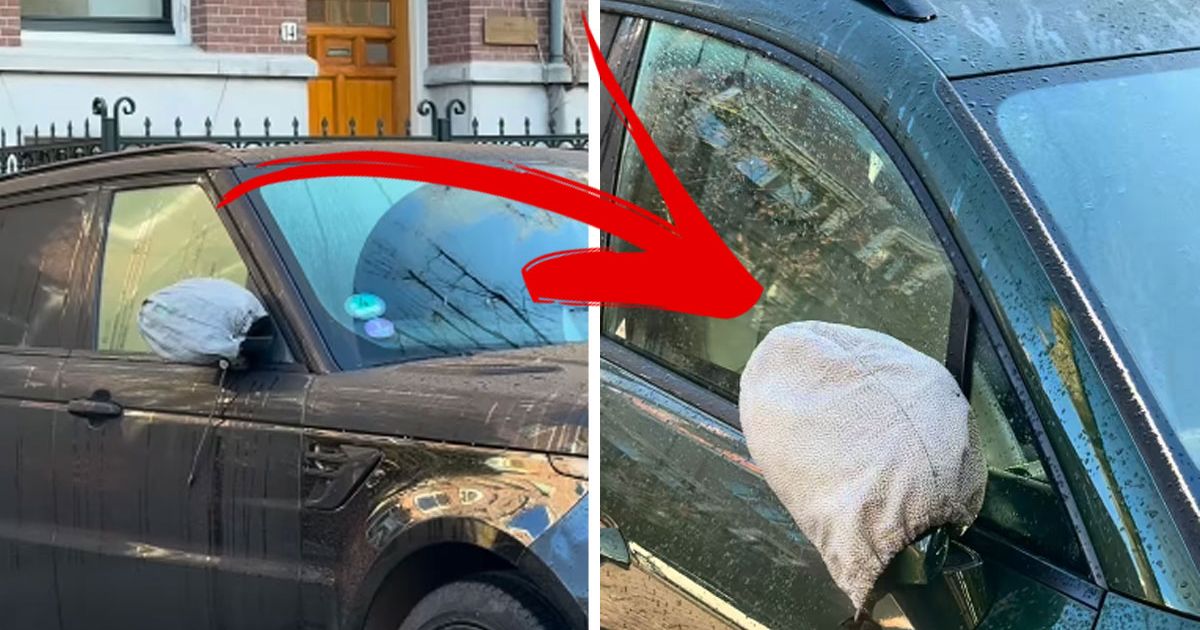 NOVI TREND MEĐU VOZAČIMA Stavljaju retrovizore u skupe torbice, a razlog je ozbiljniji nego što mislite