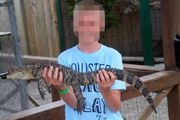 Dečak (14) snimljen šta radi aligatoru: Policija je odmah došla i privela ga!