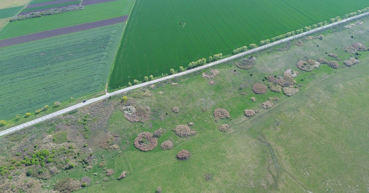 Otkrijte najmisterioznije mesto u Srbiji za koje većina ljudi još nije čula: Šta su Vatinski krugovi?