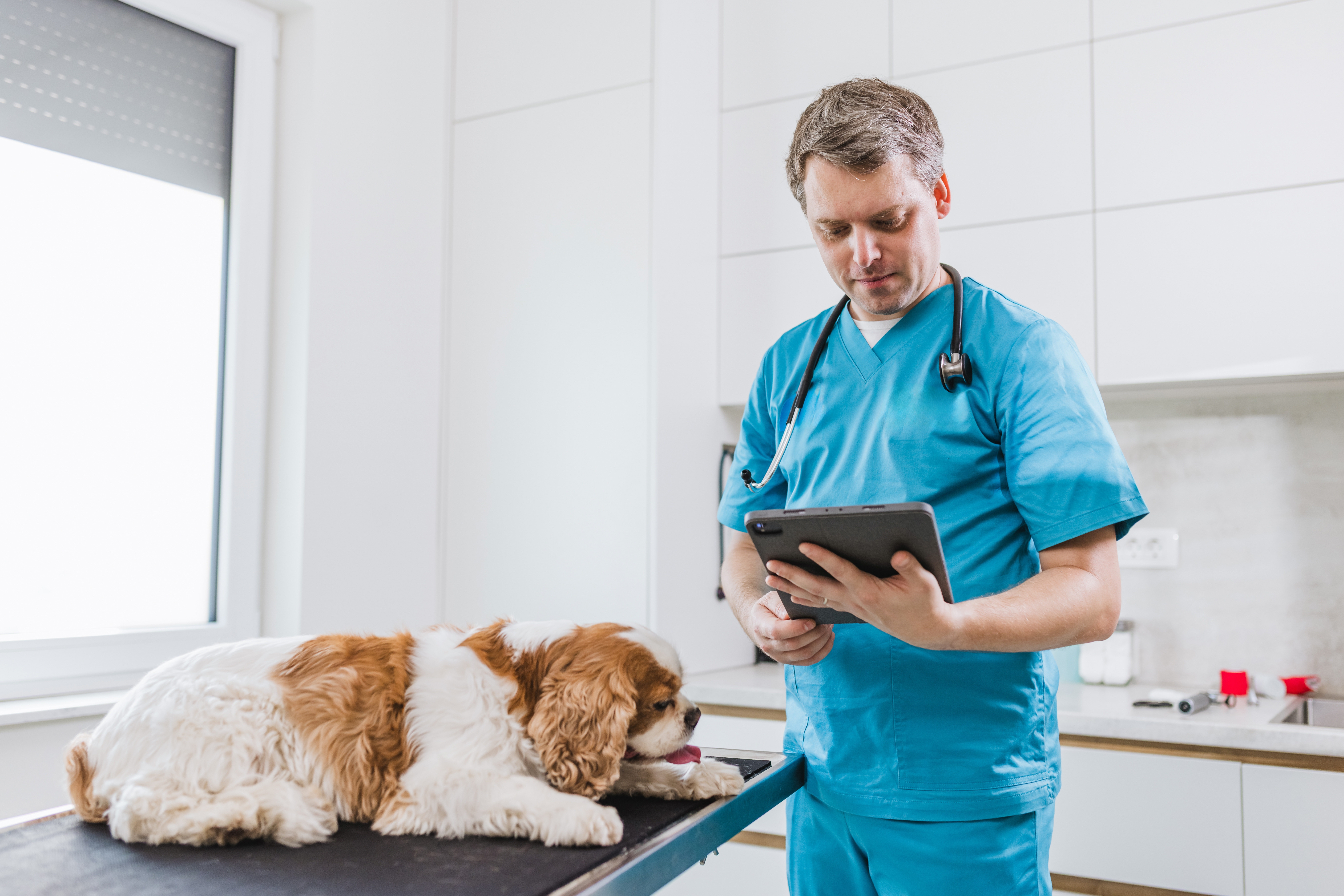 Erlihioza, dijagnoza koja je izazov čak i za veterinare: Jedan od najčešćih simptoma KRVARENJE IZ NOSA