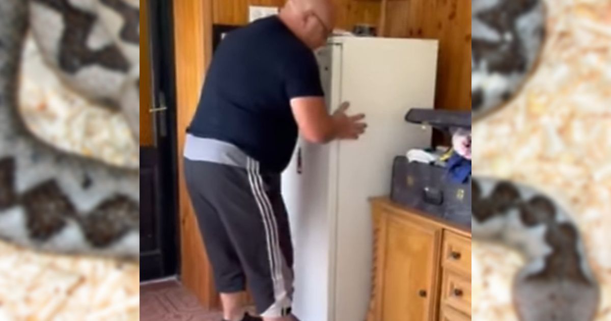 Vladica pomerio frižider usred kuće, na dnu je bila ONA! Retko se viđa van vode, a ume dobro da zasmrdi