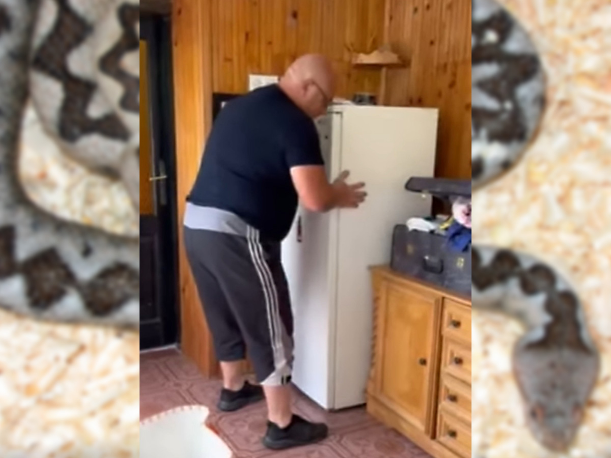 Vladica pomerio frižider usred kuće, na dnu je bila ONA! Retko se viđa van vode, a ume dobro da zasmrdi